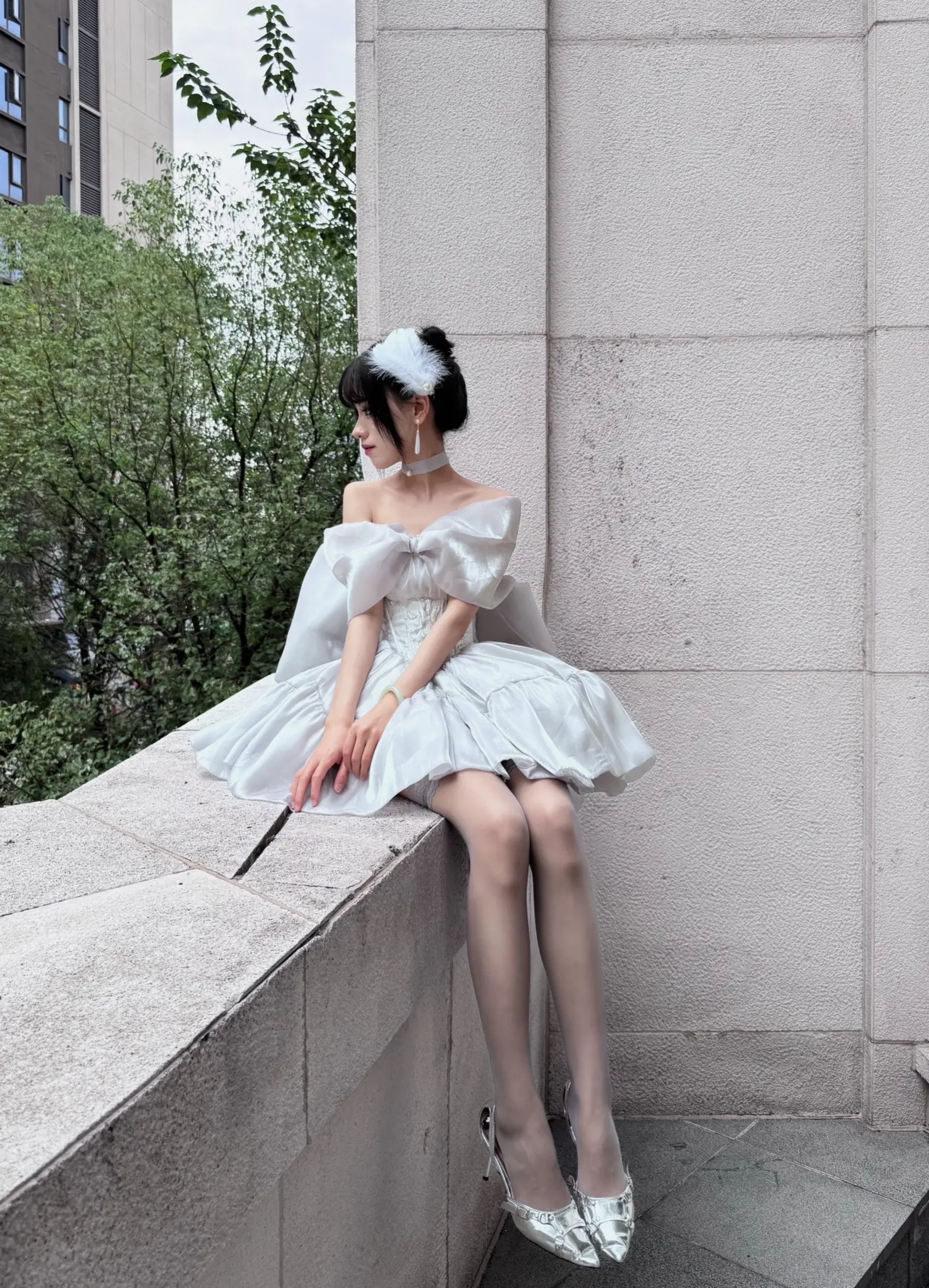 灰天鹅🦢
