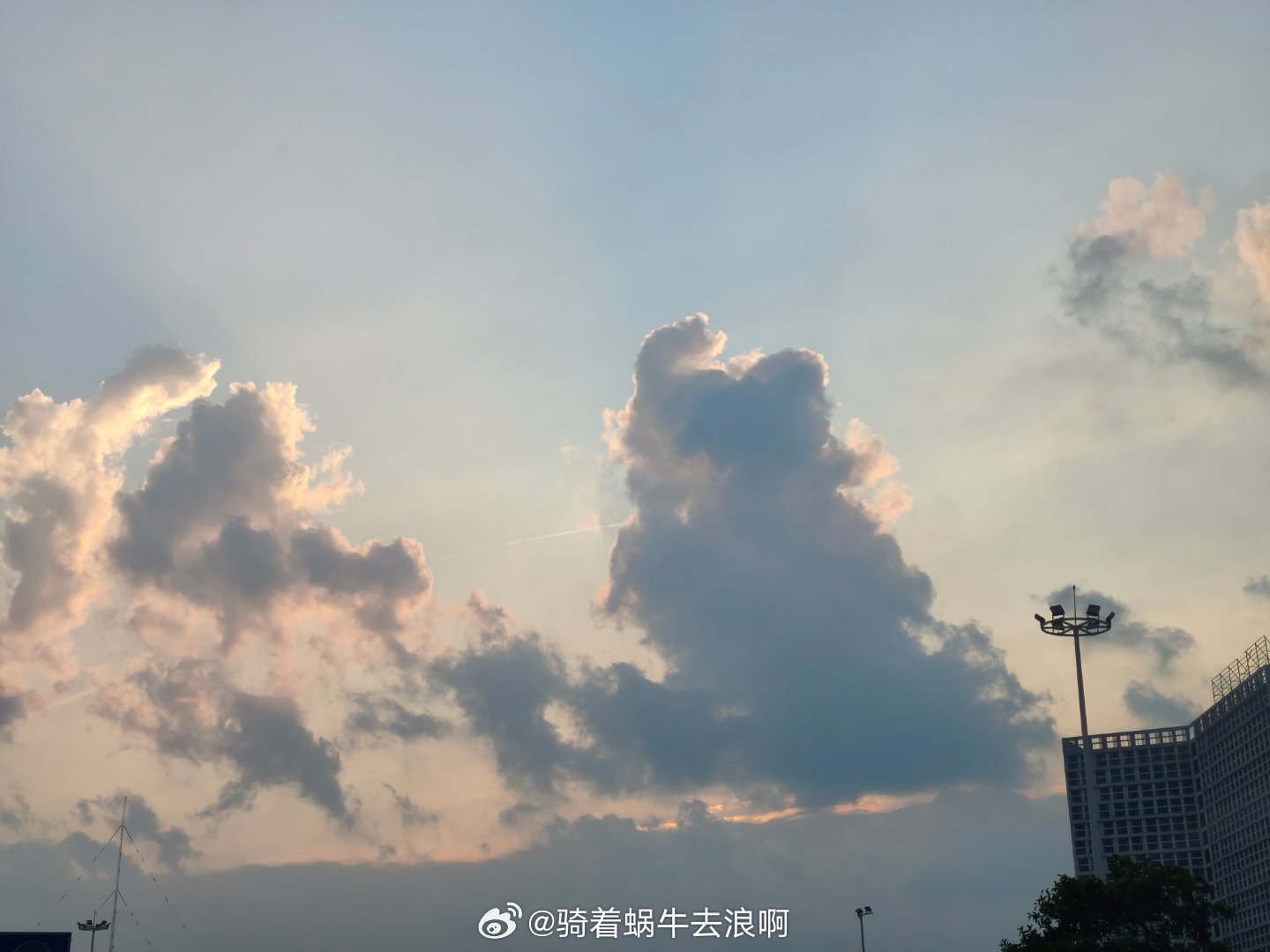 分享图片 ​​​