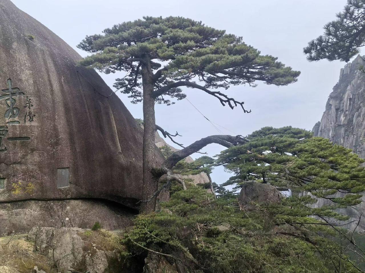 随手拍的一张风景这是去年这个时候在黄山旅游拍的迎客松，大家觉得拍摄我的拍照技术如