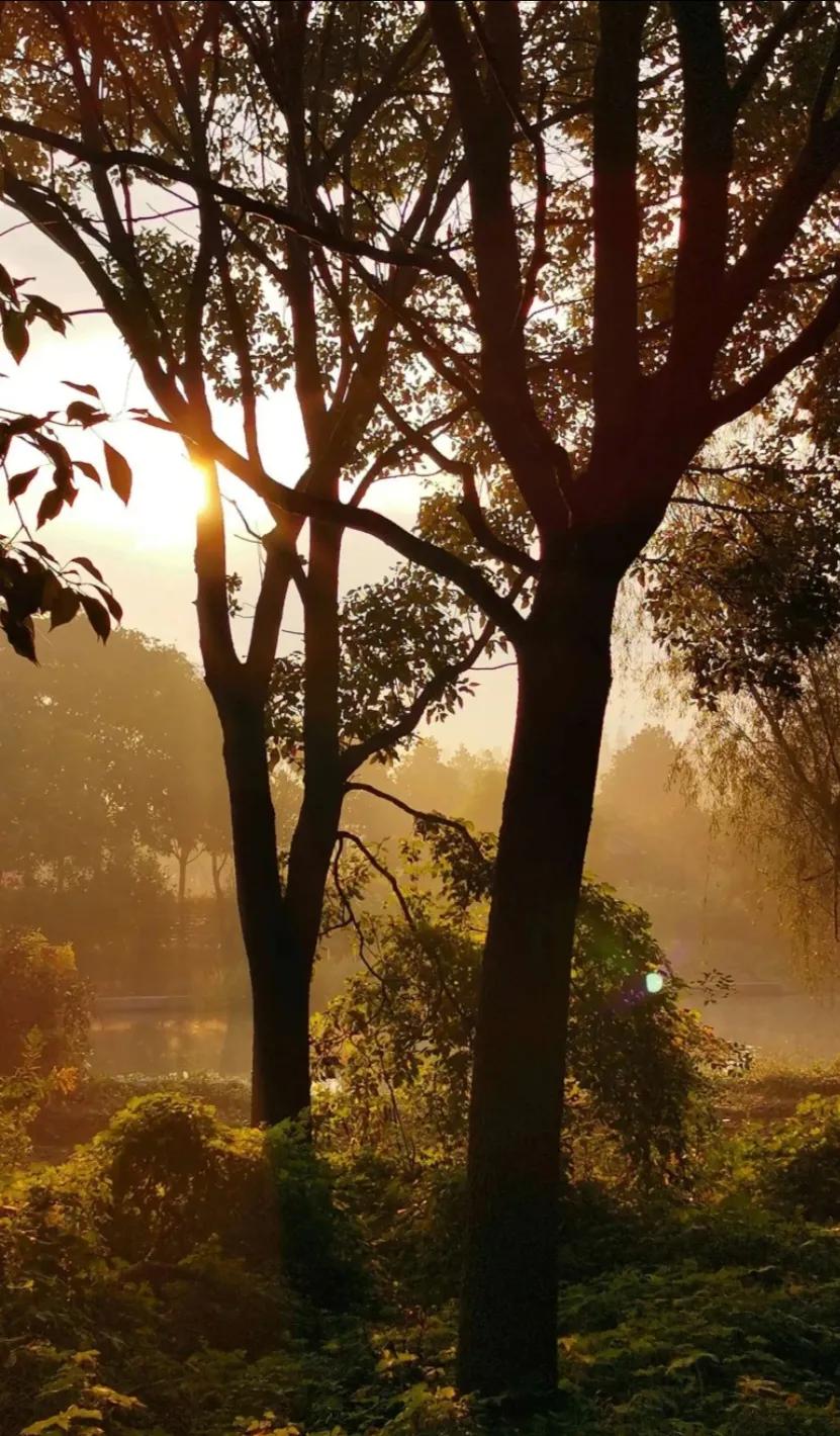 △初秋落雨咏△
初秋落雨将热消，
男女老少齐欢笑。
多日酷暑实难耐，
不久天凉会