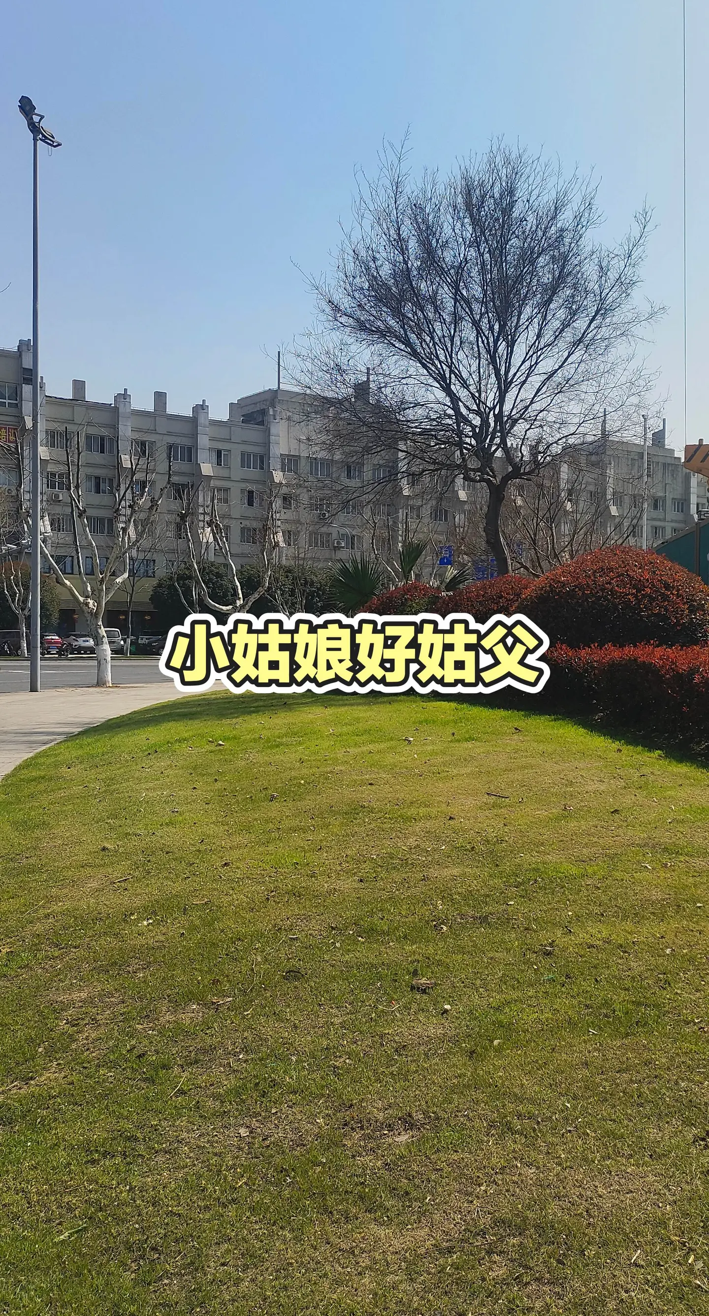 分享有趣的视频