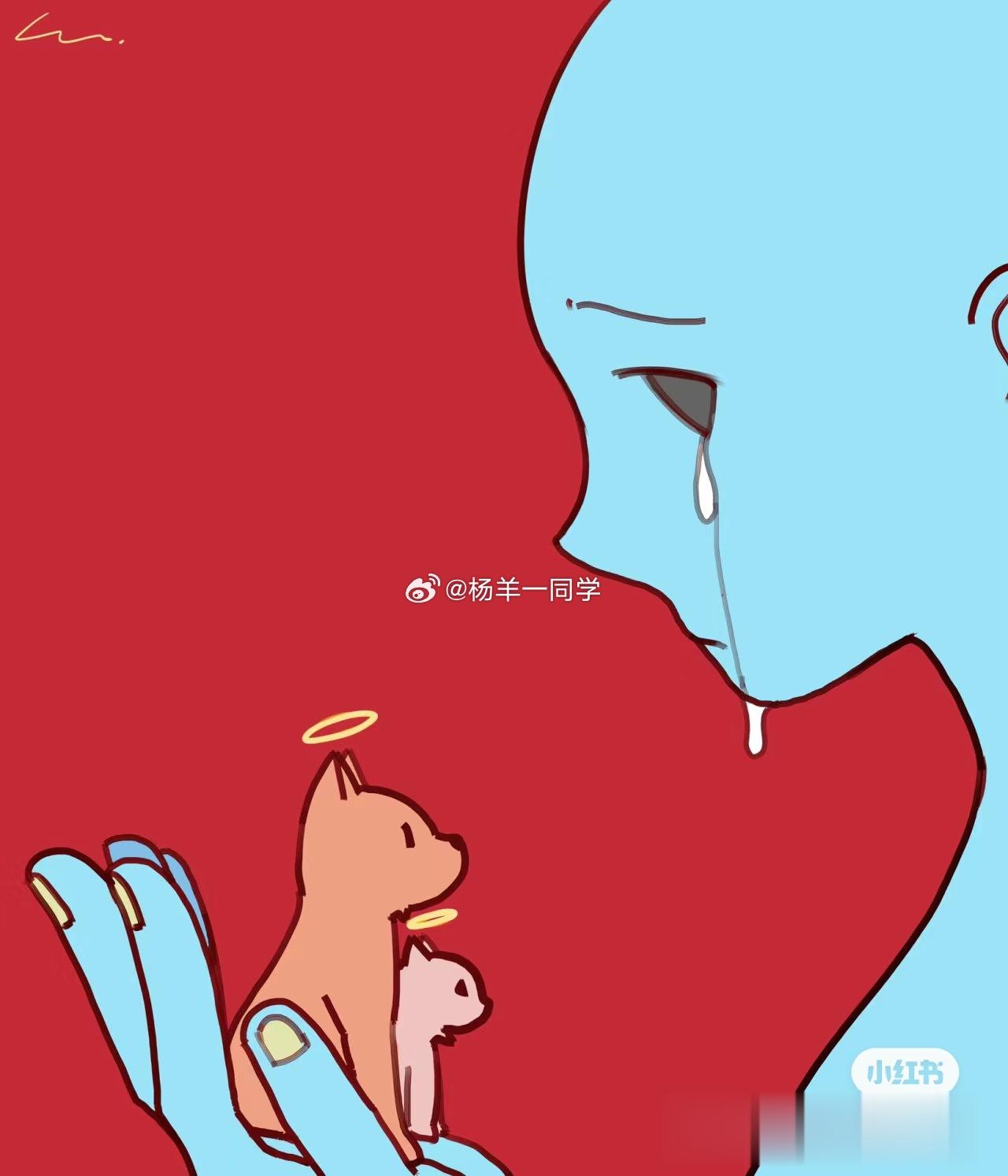 为什么会有流浪狗，难道流浪狗天然存在时就被大自然判定为是流浪狗吗？难道小狗出生时