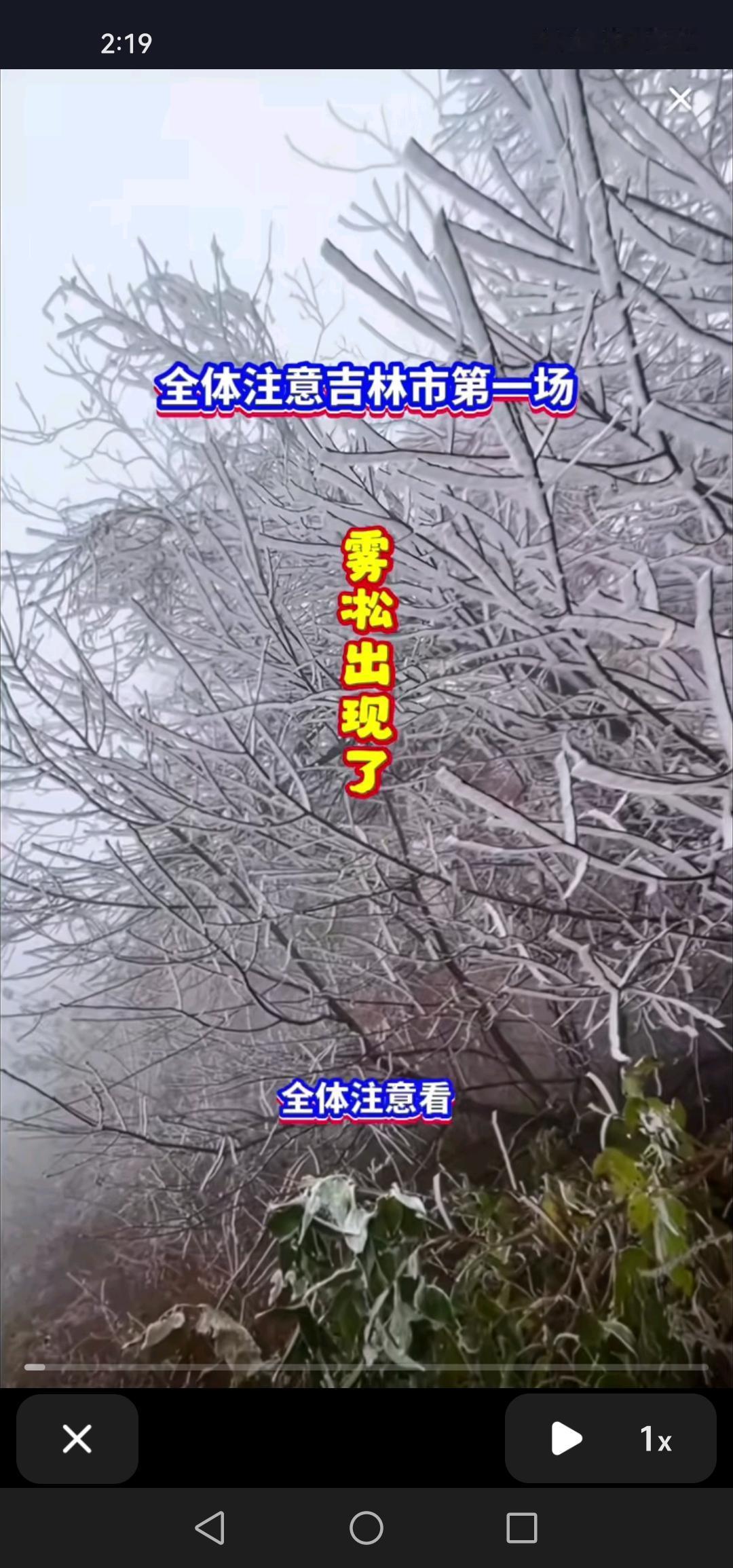 太厉害了！10月16号，吉林市迎来首场雾凇奇观，着实令人震撼。
从网络消息得知，