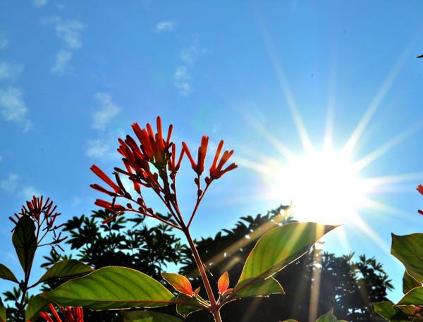 昨天武汉狂风大作，今天又是阳光明𣈲，在武汉生活真好。
在武汉，这座江城，天色的