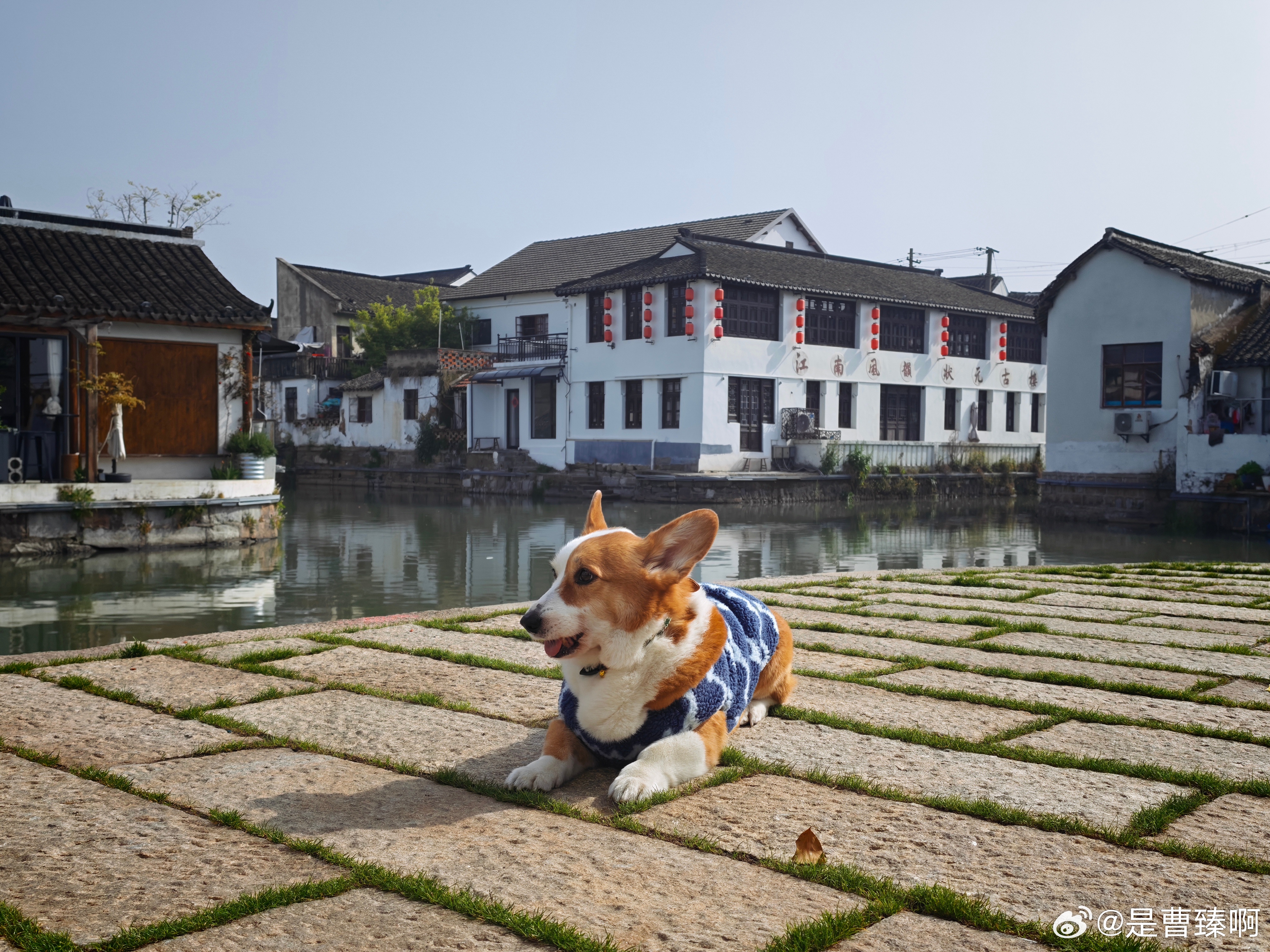人特别忙的时候，就特别喜欢在某个没人并且节奏很慢的地方看看景。 