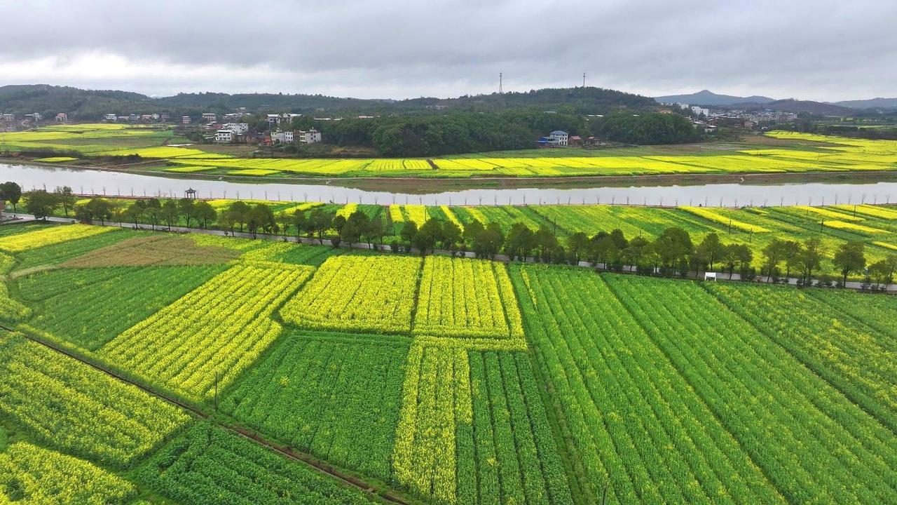 读《近思录》3.45　

明道先生曰：学者不可以不看《诗》，看《诗》便使人长一格