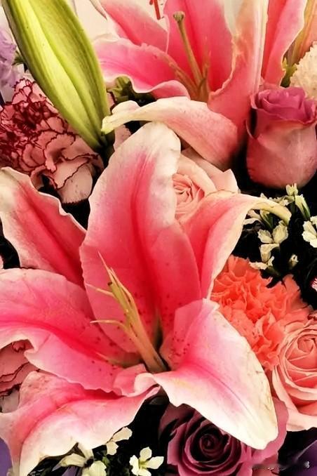 友们周末愉快！[玫瑰]
美好的一天又开始了！

寄一份冬天的问候，
添一份冬日的