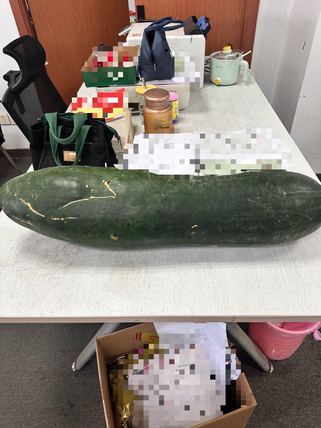 燃烧的陀螺仪  早安，有人家里种了超大的大冬瓜，中午我们自己煮火锅吃🍲又是愉快