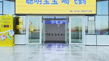 王濛说尔滨这个冬天连冰都是暖的  飞鹤为尔滨上大分 在寒冷的哈尔滨冬天，飞鹤奶粉