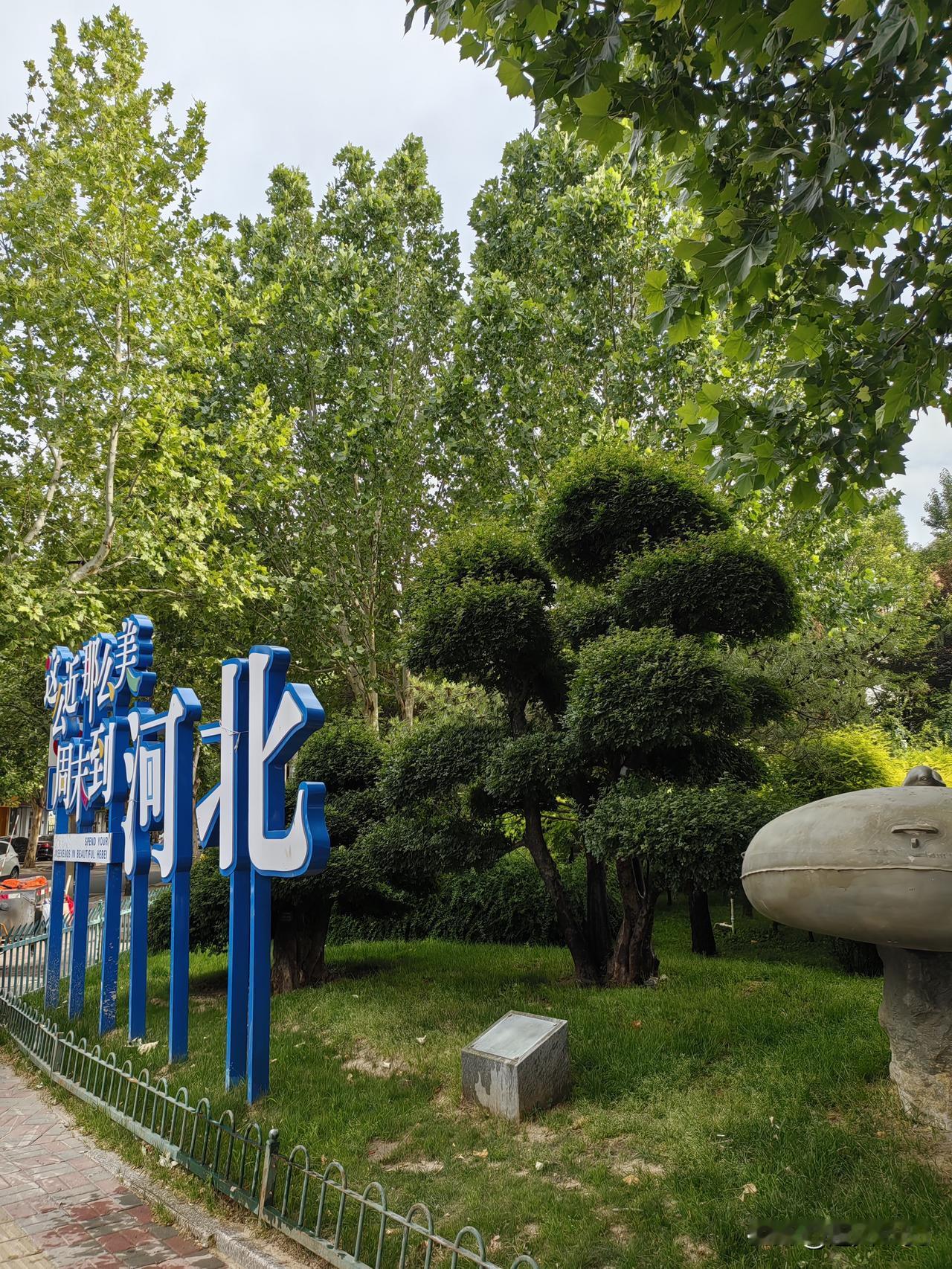 我的家乡在河北，
家乡称老婆的弟弟叫小舅子。

友们你的家乡叫啥？