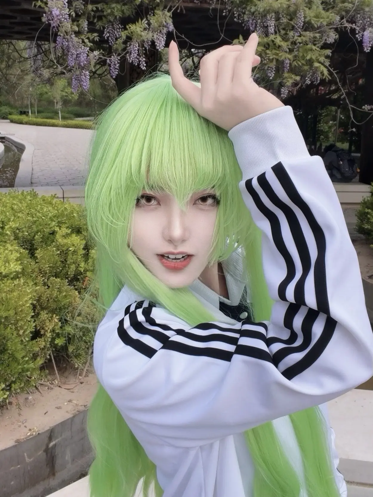 “鲁路修，我们是共犯——”C.C.🍀。已燃尽，虽然没有穿c服，但是在...