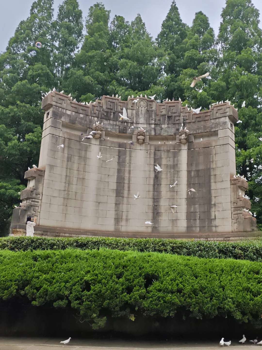 【南京访古】中山陵音乐台的鸽子飞累了