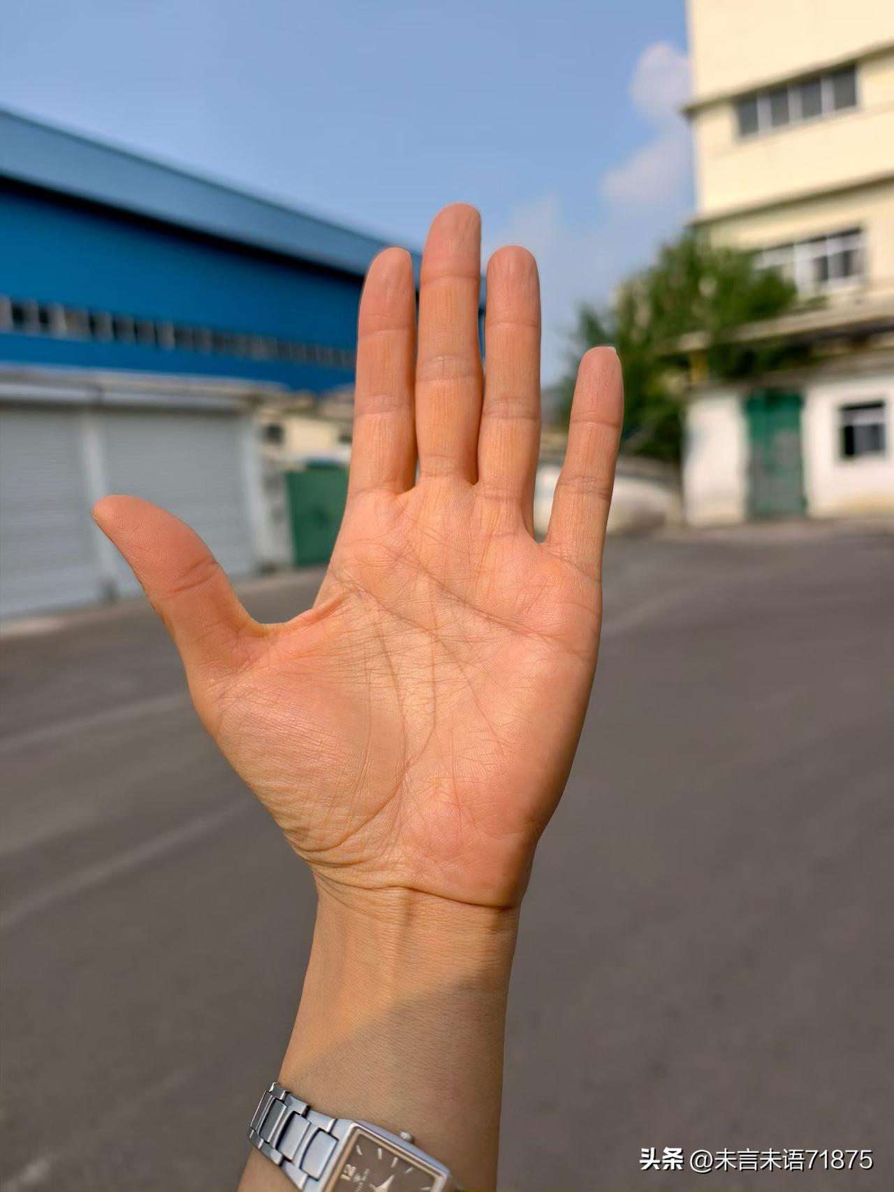 现在室外温度比较高，走路的时候，让手心对准太阳，感受到整个手掌在吸收太阳的能量，