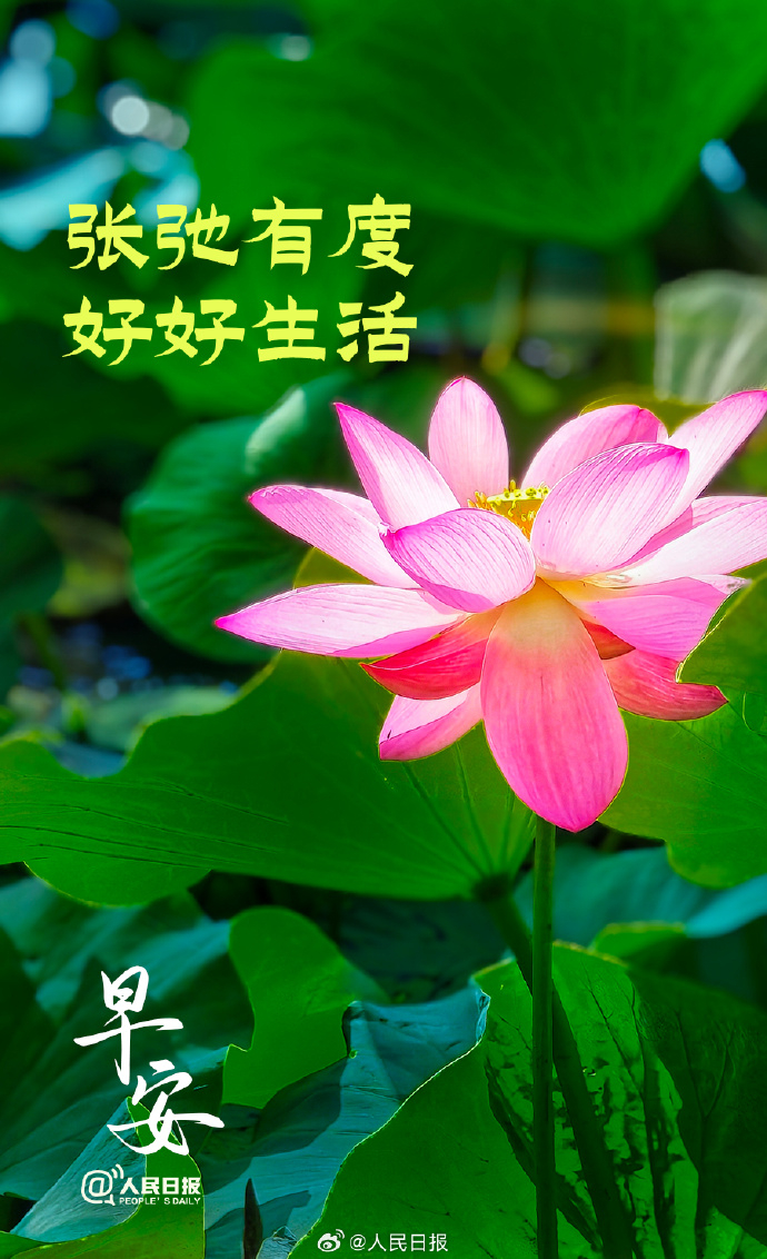 【#人生也要学会适当留白#】人生是一场长途旅行，懂得适时休息的人，反而走得更远、