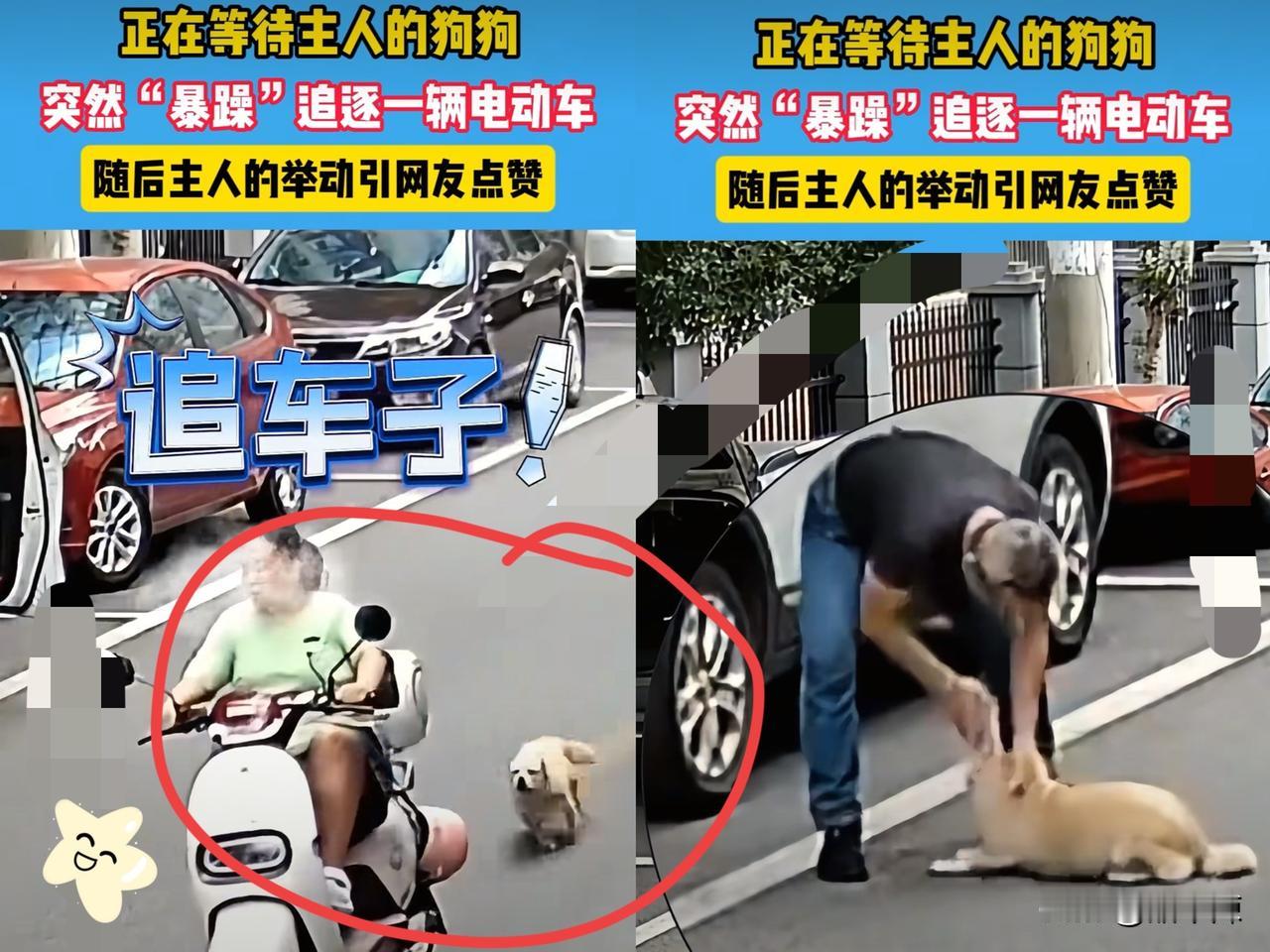 没想到啊！湖南，女子骑车回家，突然被路边狗子追，吓得女子口吐芬芳，结果狗子没追上