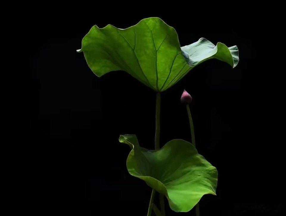 非常智慧的一段话：“你拒绝，别人就知道了你的底线；你表达，别人就知道了你的观点；