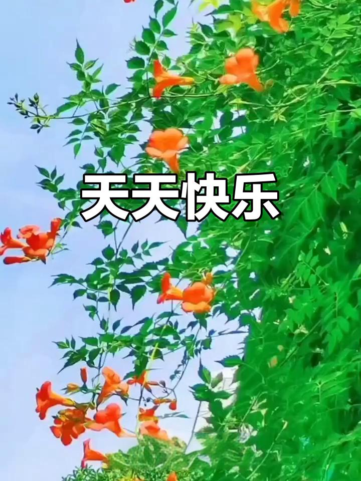 你能接出“无名无利无烦恼”下联吗无病无灾无忧虑。加上横批：天天快乐。