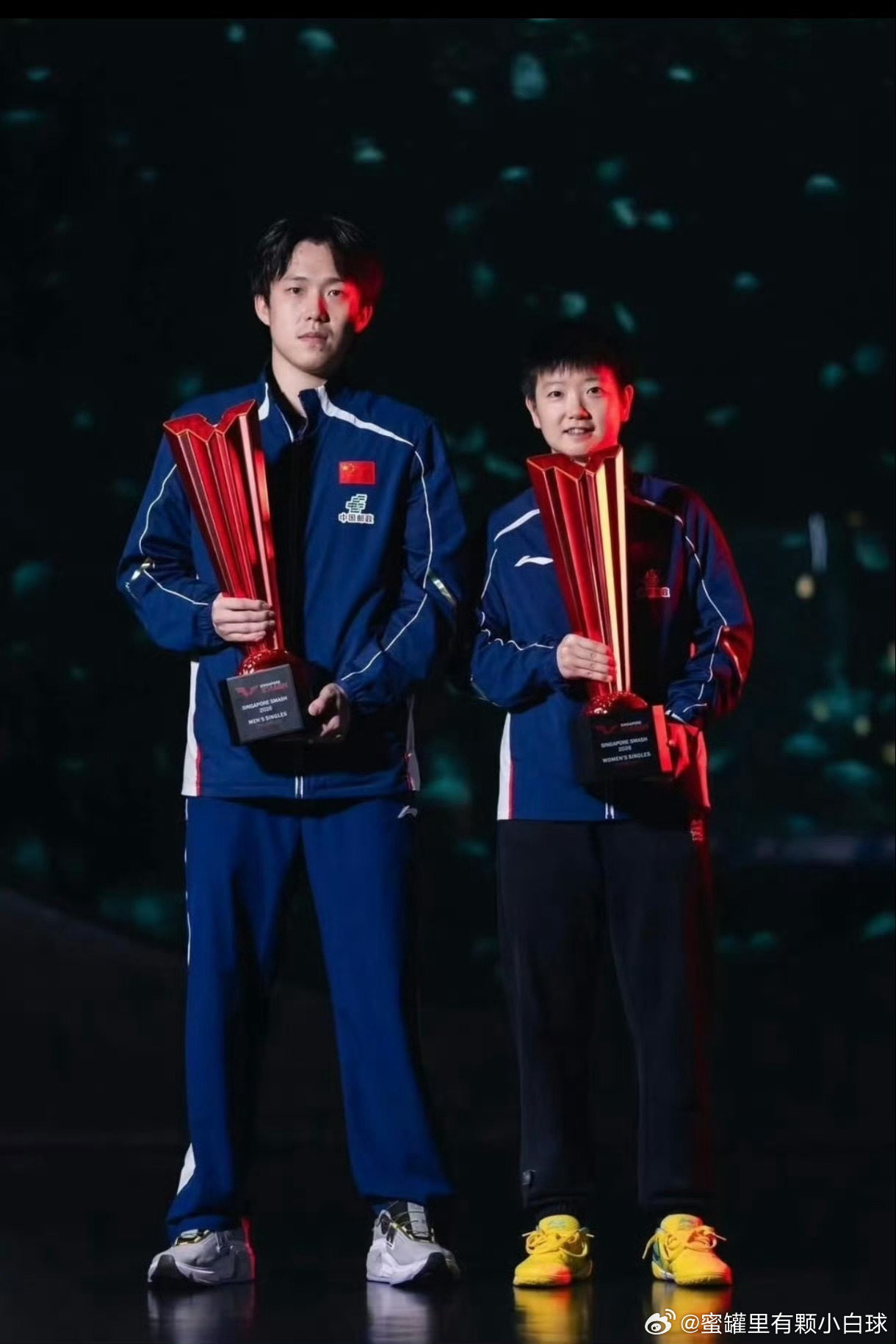 哥姐背景都是鲨鱼🦈哦，怎么双人就变水母🪼了