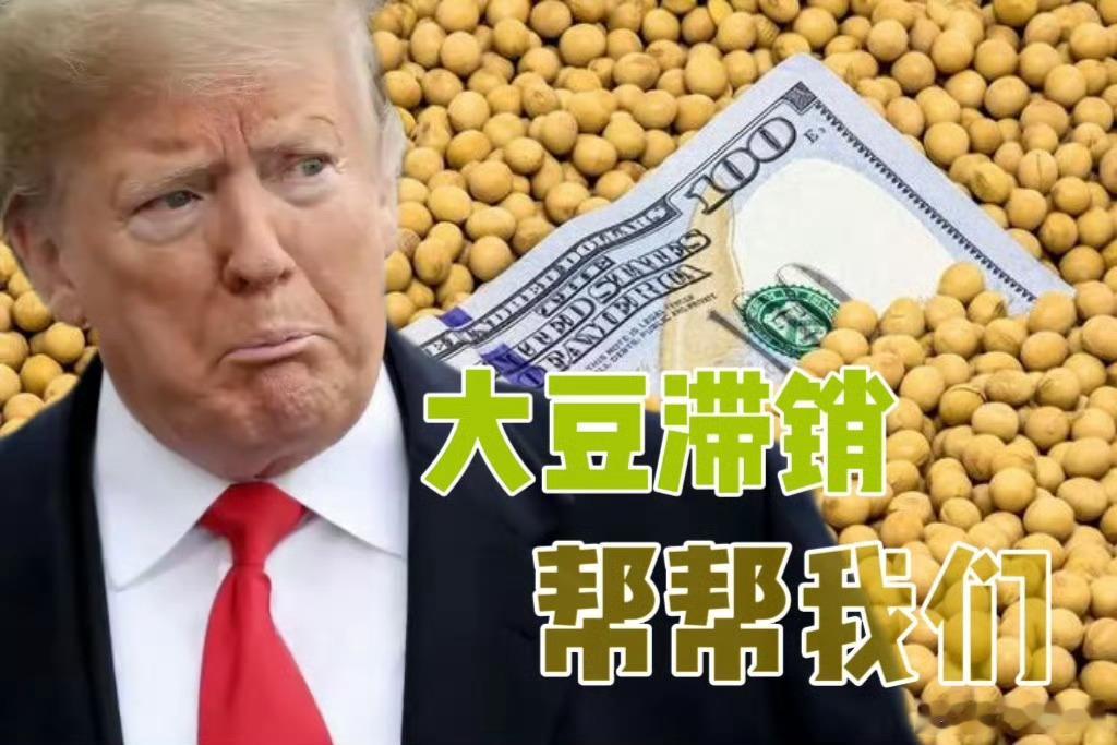 特朗普声称，他只希望中国继续购买美国大豆，至少恢复到之前的购买量。 ​​​