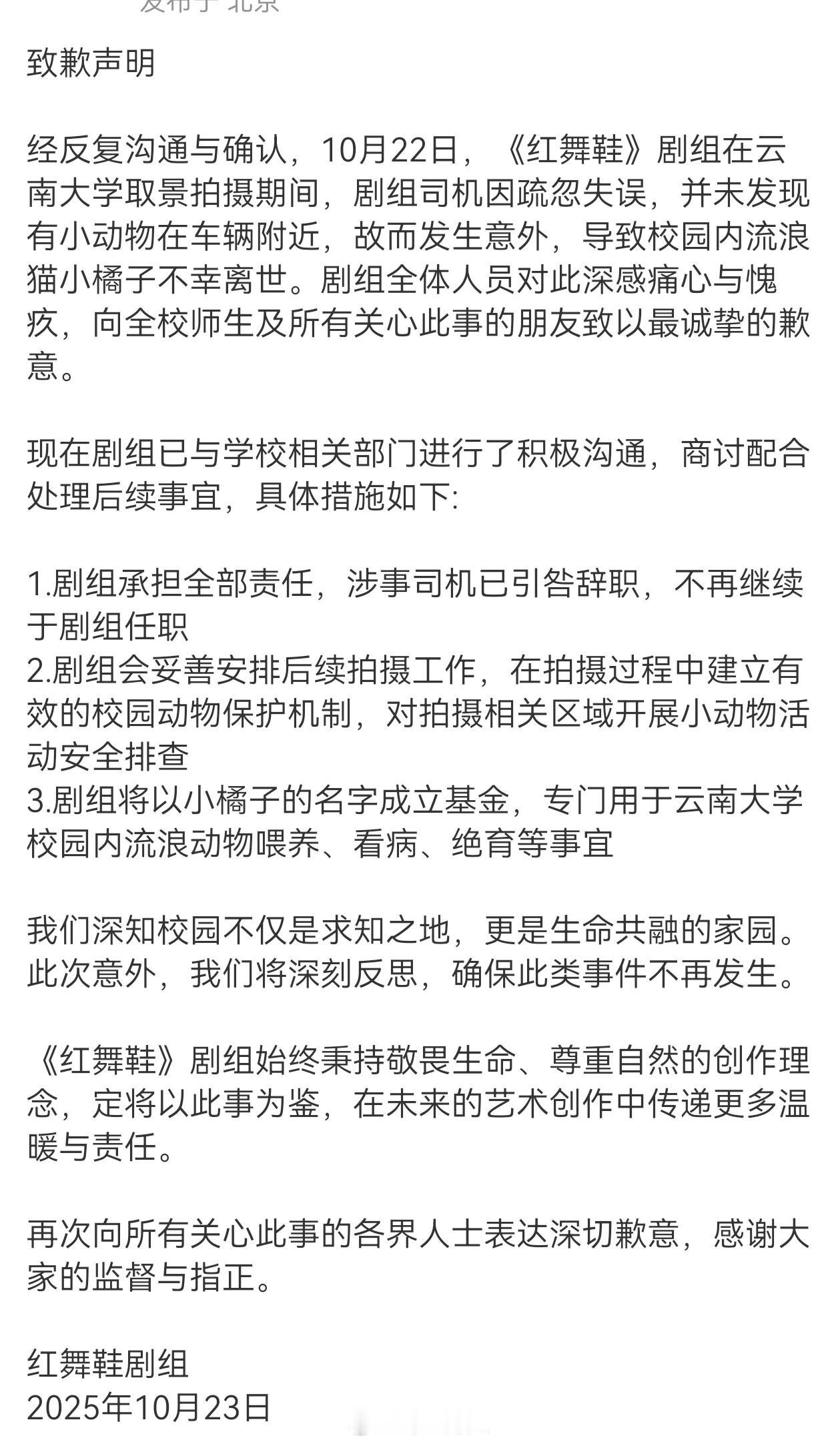 红舞鞋剧组致歉  承认是剧组车辆轧死了小猫咪红舞鞋致歉声明 ​​​