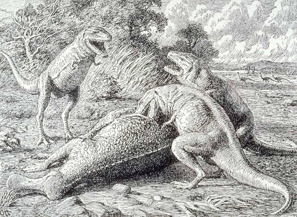 100年前的蛇发女怪龙是这个样子？
蛇发女怪龙（Gorgosaurus）是最著名