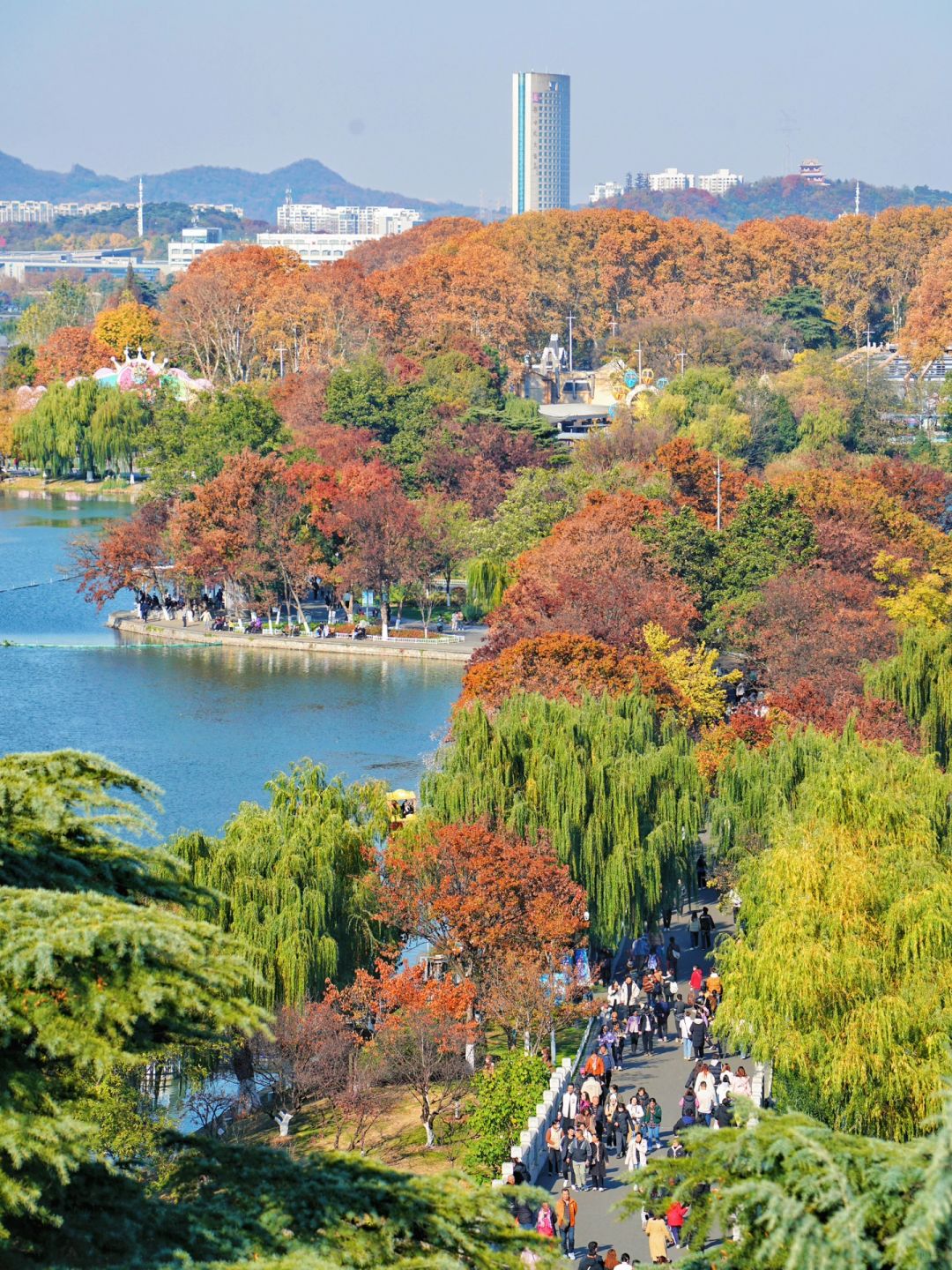 知道南京美没想到这么美➡️一定要锁死这里