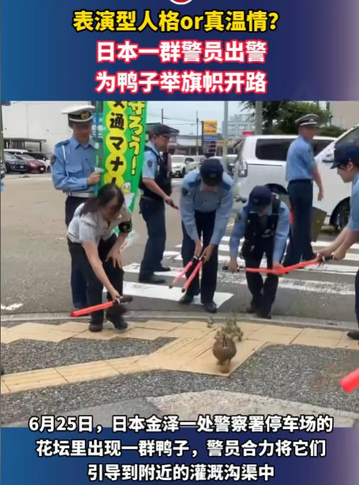 还是日本网友会骂！6月26日报道，日本金泽一个警察署的停车场花坛里，突然冒出来一