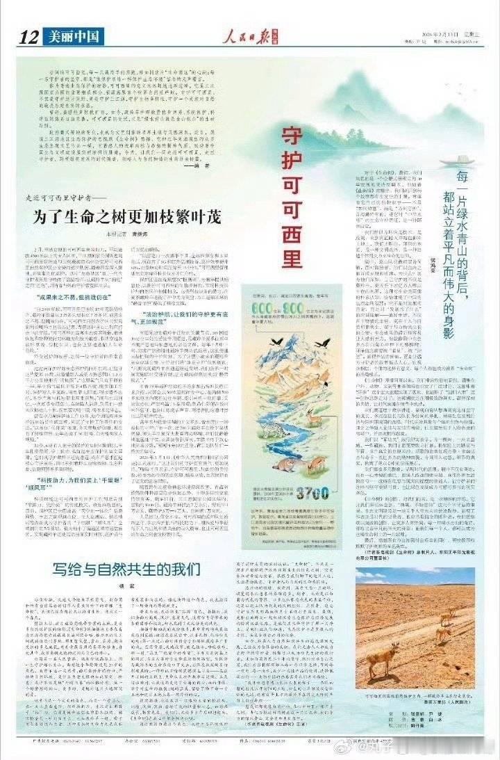 生命树豆瓣开分8.1生命树值得9分 