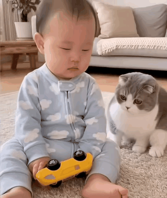 救命！这只小猫咪也太会疼人了吧
 
萌娃坐着玩玩具，玩着玩着困意上头，眼睛一闭身