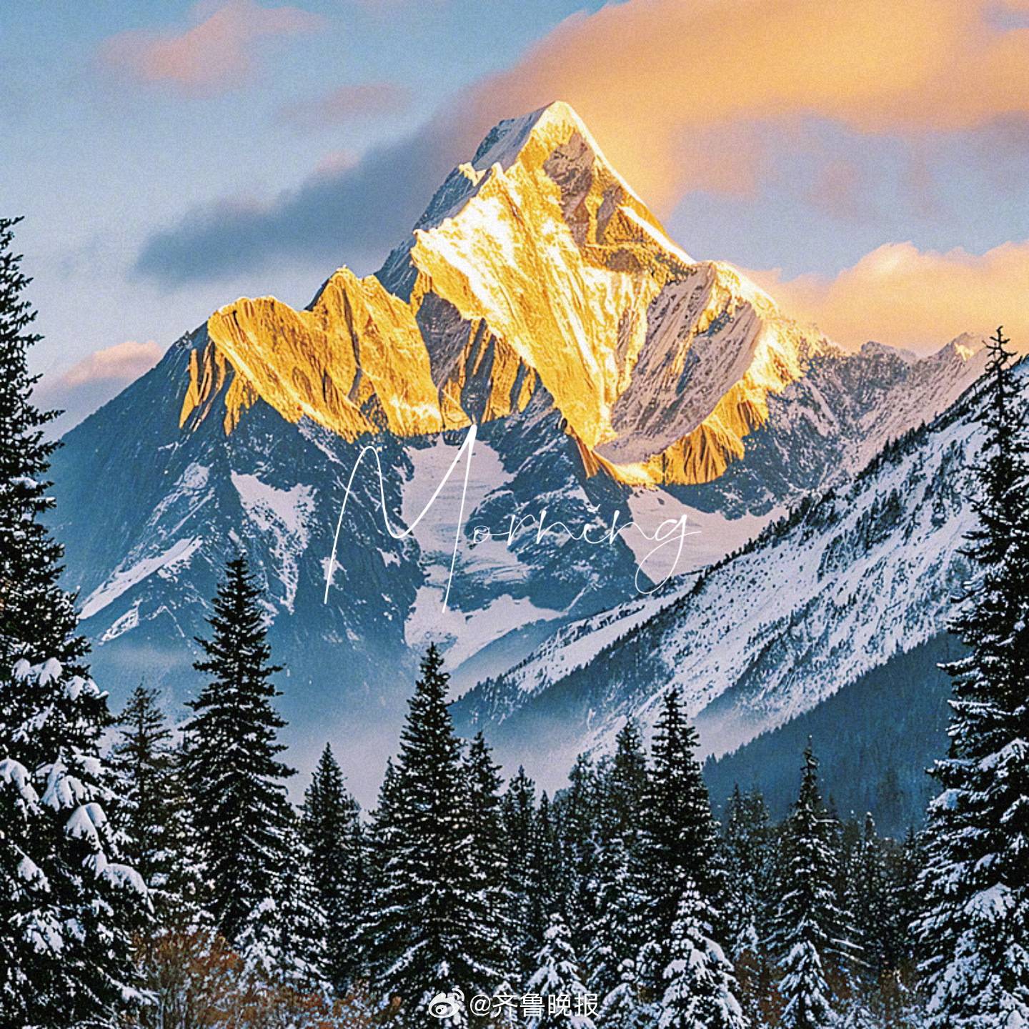 新朝新气象日日皆安康#早安#