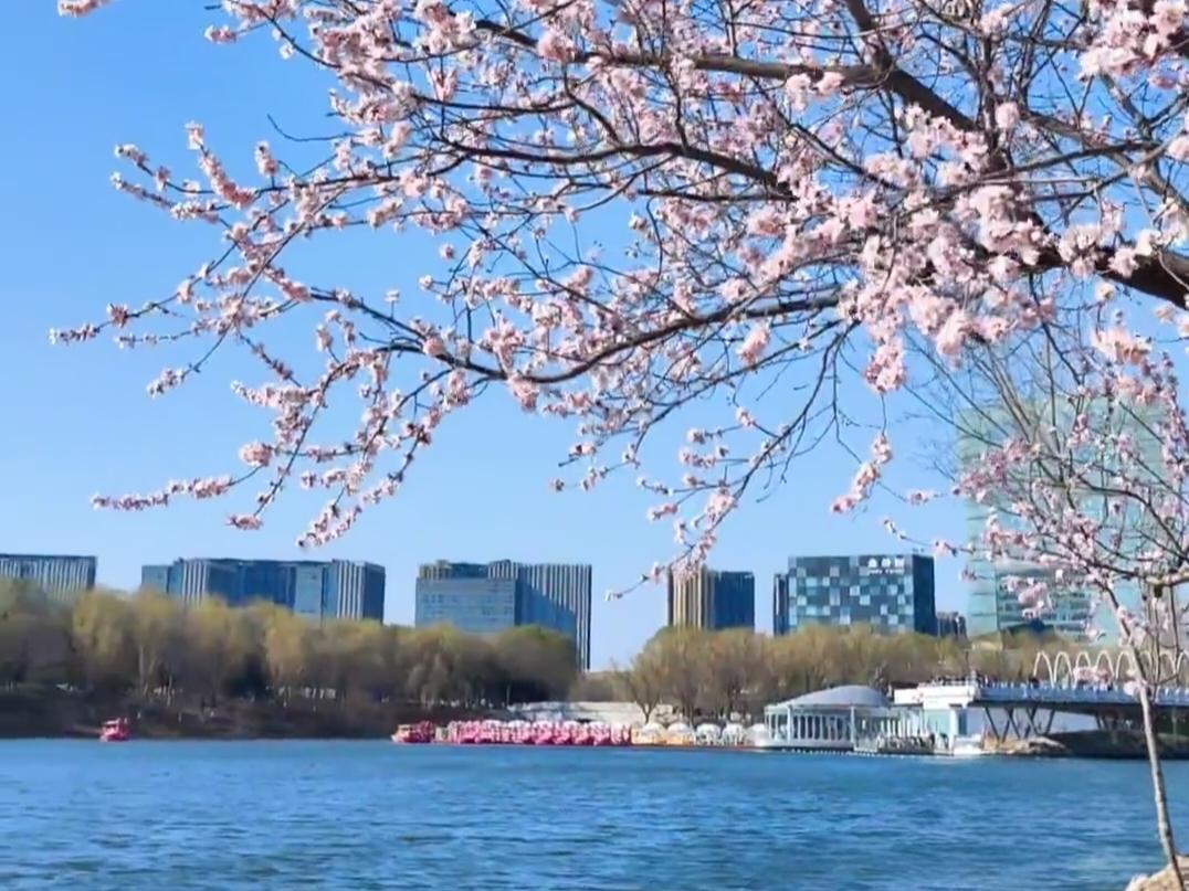 最近喜欢上了跑步，几乎每天都会出去跑，今天在大兴念坛公园里跑了大约有半个小时。身