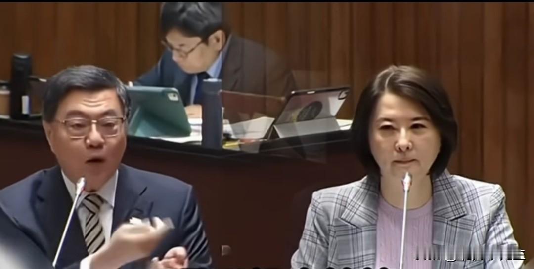 国民党立委王鸿薇今天在台湾地区立法机构质询行政机构负责人卓荣泰时提问，一个货柜，