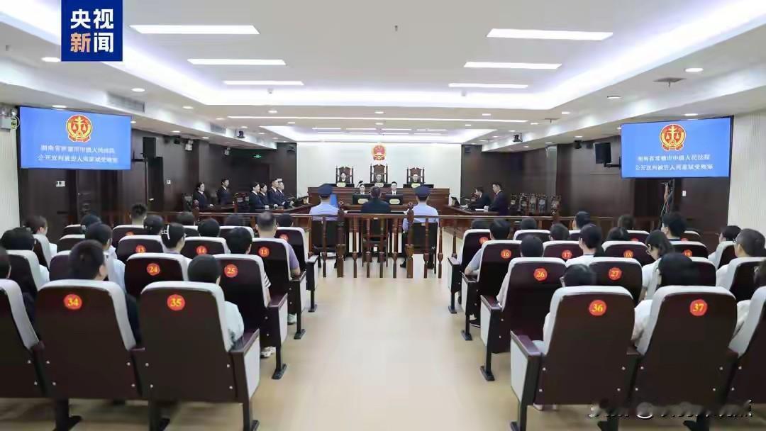 天津市某医院放射科原主任严驰泽，伙同女友雷一婧，利用20年职务便利，在医疗设备采