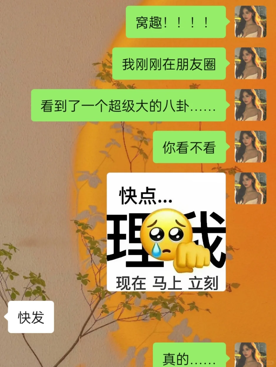 这个贱我必须犯