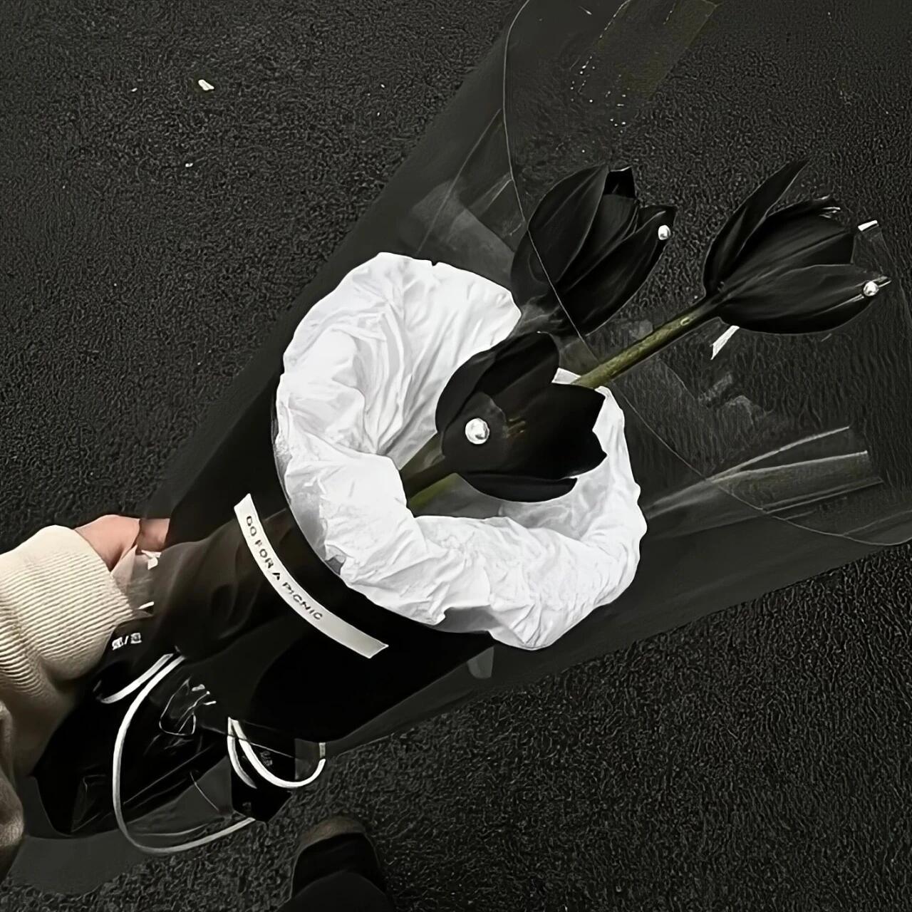 月光还是少年的月光，九州一色还是李白的霜 