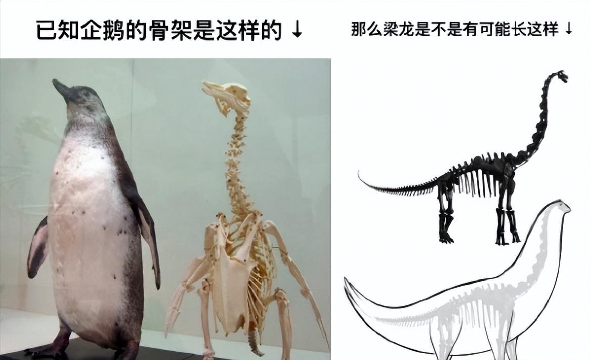 很有可能