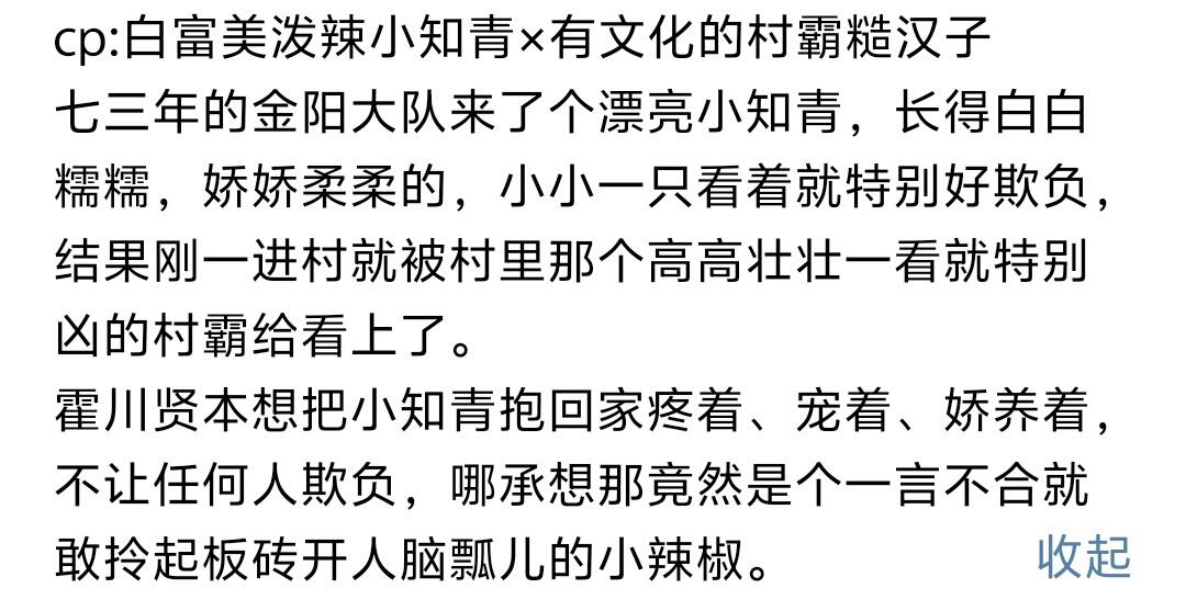 《京都大院来的娇软知青嫁给了村霸》小说