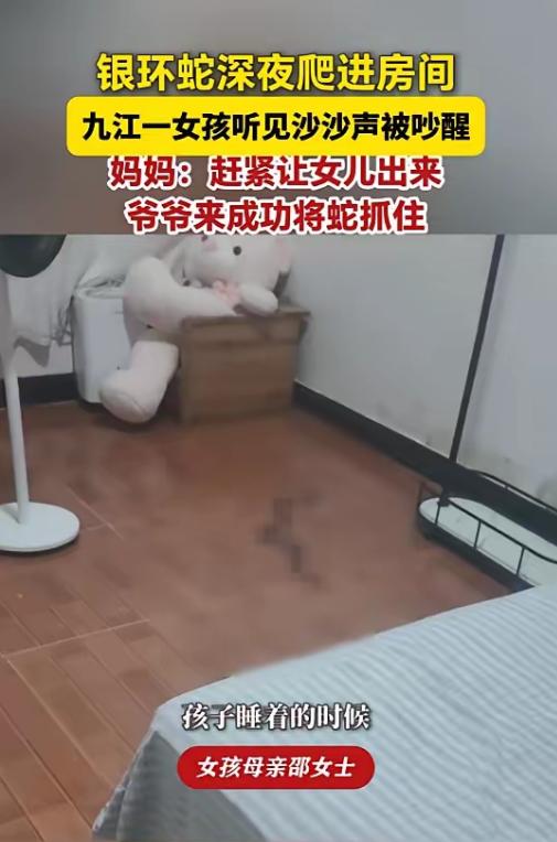 “太吓人了！”9月13日江西九江，深夜23点多，一名11岁小女孩躺在床上睡得正香
