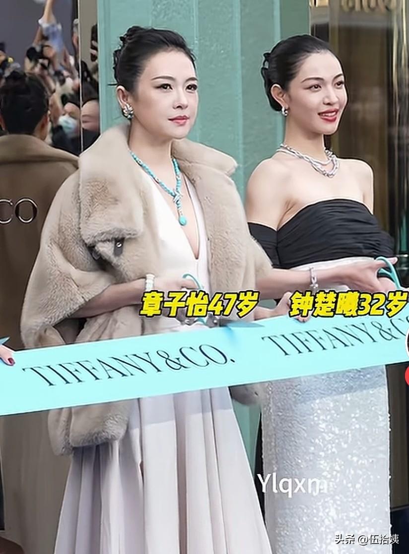 字幕打了章子怡
我愣是没看出来[黑线]
脸这么圆润
这是中年福像
还是整容了呀