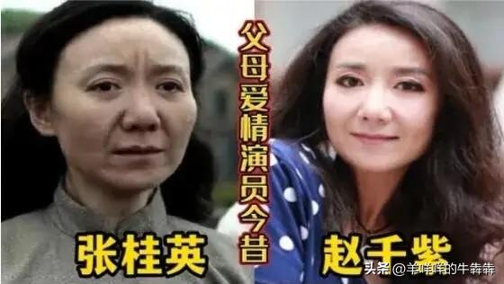 我刷过无数遍《父母爱情》，每次重看都感慨剧组选角眼光太毒，梅婷、郭涛、刘琳、刘敏