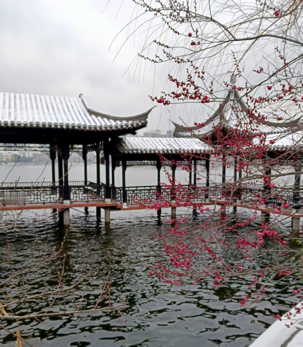 今天上午，在南京莫愁湖公园踏雪，才知道南京旅游景区公共设施，设计的是这样温馨，彰