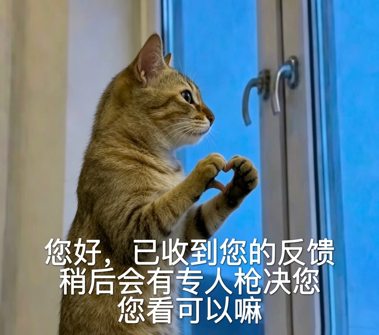 我看到一个评论形容有的男的身体畸形，没有肩膀手还很短，他问说手这么短能够到🐔吗