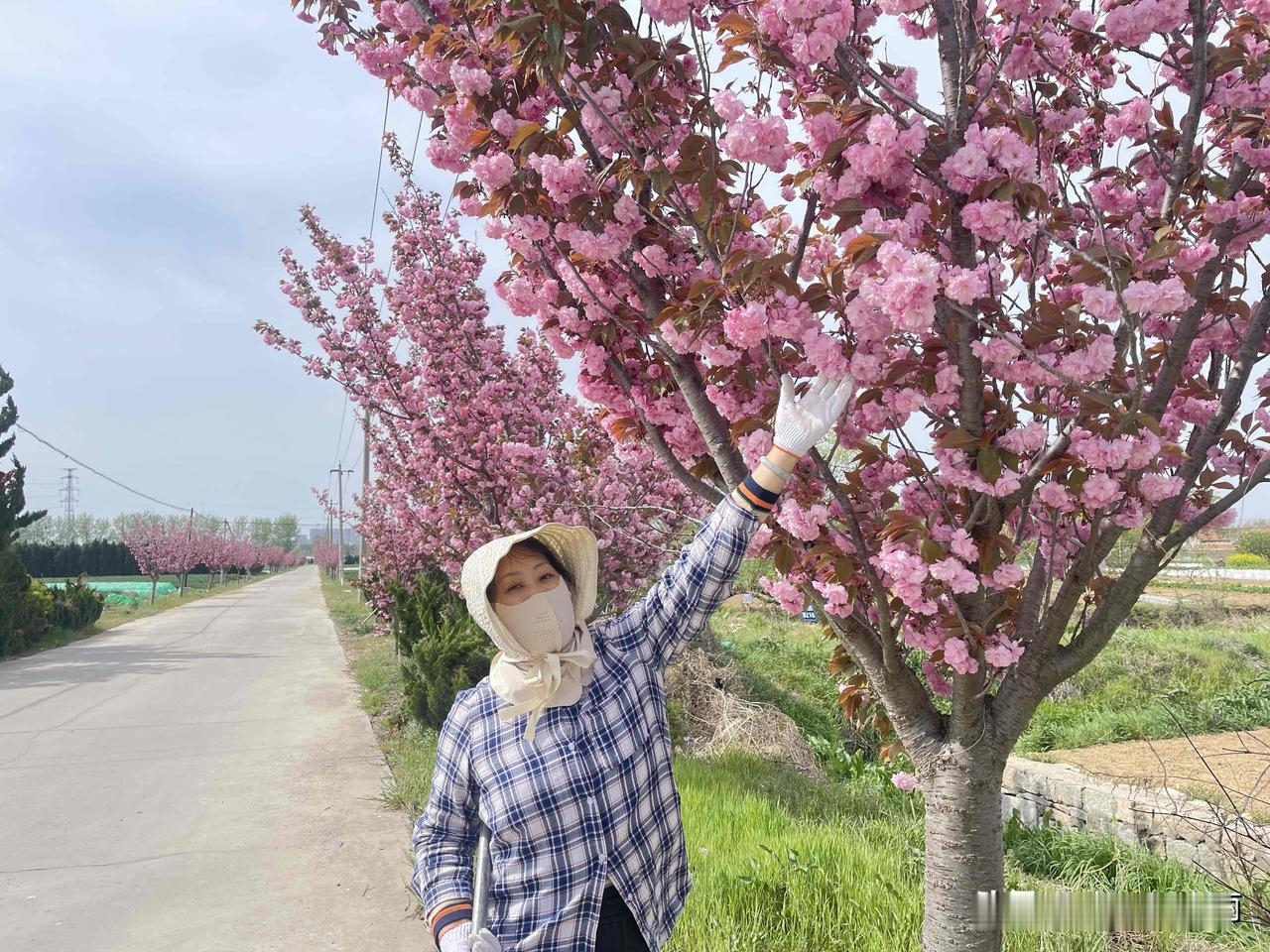 我种菜不省钱，但我省下了去医院的钱！

我昨天发的自己种菜吃不省钱的视频，直接干