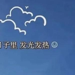 早安心语 ◡̈﹋²⁰²⁶/₆.₆﹏💆♀️周⑥    鲜花快乐法则：减少期待 戒
