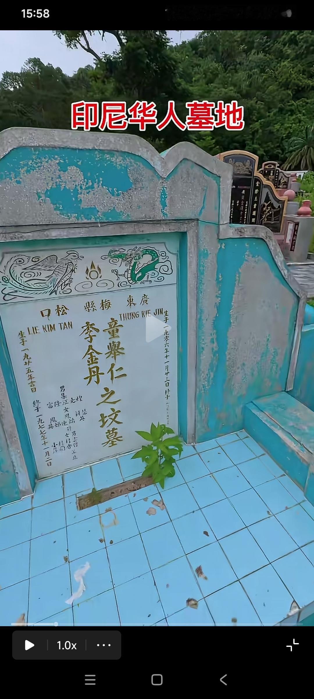 印尼的一片墓地，有一块华人的墓碑特别醒眼

它的造型和配色和印尼当地墓碑完全不一