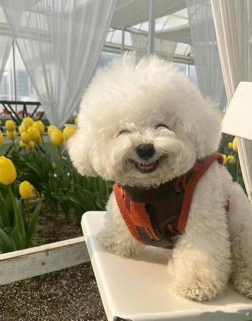 冰箱贴的含金量还在上升我家冰箱门已经被贴得满满当当，每次拉开冰箱拿喝的，扫过一堆