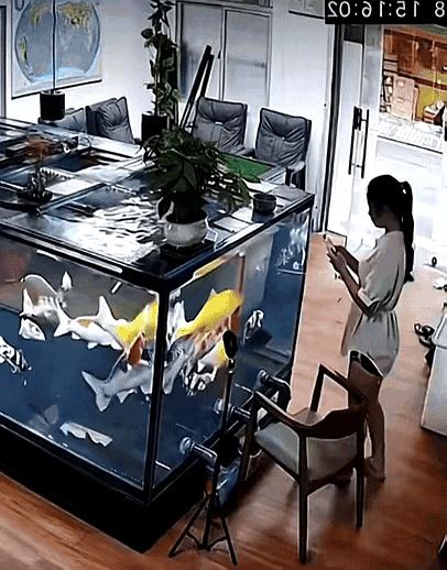 真没想到，这泼天的自由，居然以这种“哦豁”的方式直接砸到了我头上。
你能想象那种