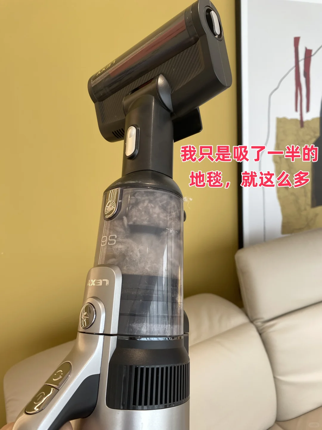 宠物吸毛洗地机，还是莱克天狼星S6良心