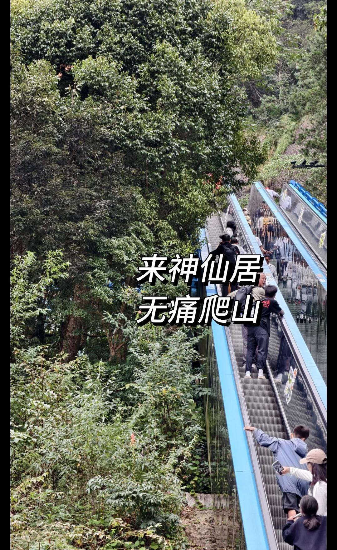 宁波出发神仙居松弛一日游
宁波站-台州西-仙居南站-神仙居南门
9：00出门，地