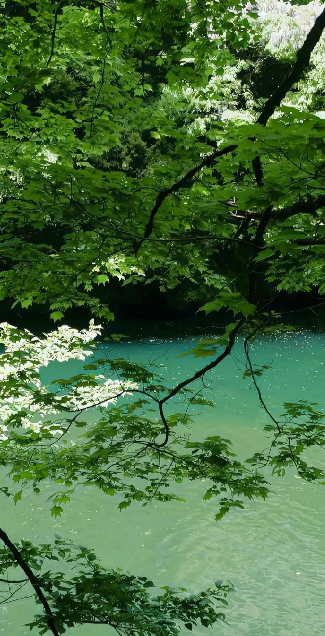 周末愉快，有没有出去玩啥的？ 